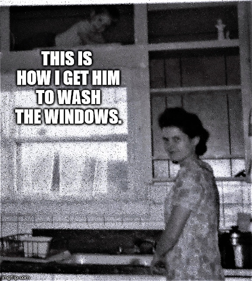 Self on the Shelf | THIS IS HOW I GET HIM TO WASH THE WINDOWS. | image tagged in self on the shelf | made w/ Imgflip meme maker