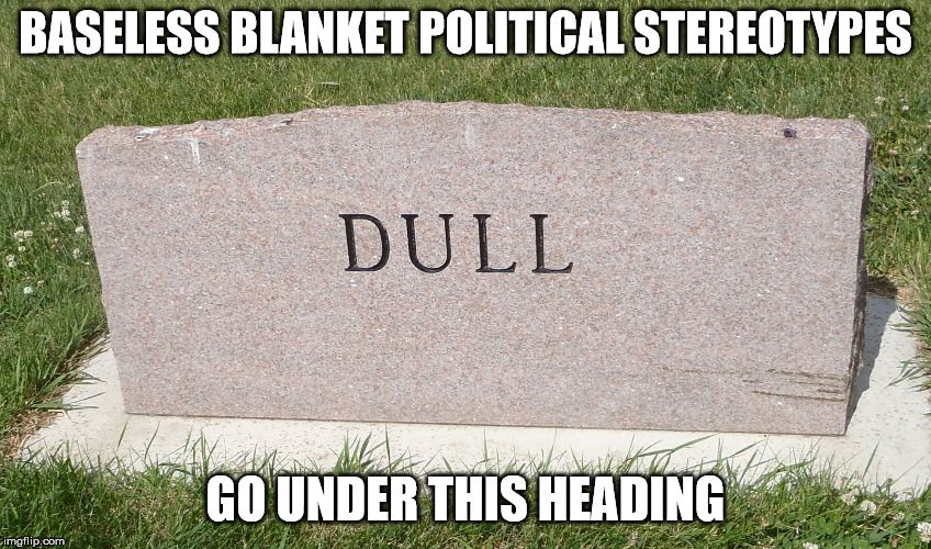 stoned and bored | BASELESS BLANKET POLITICAL STEREOTYPES GO UNDER THIS HEADING | image tagged in stoned and bored | made w/ Imgflip meme maker