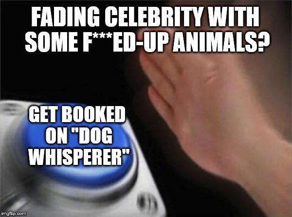 So sad... | FADING CELEBRITY WITH SOME F***ED-UP ANIMALS? GET BOOKED ON "DOG WHISPERER" | image tagged in memes,blank nut button,fading celebrity,dog whisperer | made w/ Imgflip meme maker