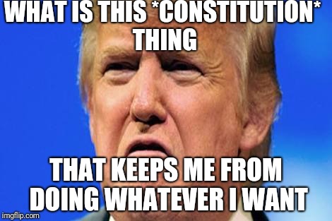 Donald trump crying |  WHAT IS THIS *CONSTITUTION* THING; THAT KEEPS ME FROM DOING WHATEVER I WANT | image tagged in donald trump crying | made w/ Imgflip meme maker