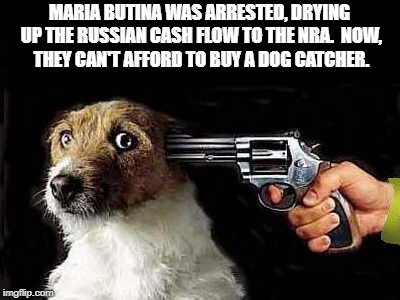 Dog Catcher | MARIA BUTINA WAS ARRESTED, DRYING UP THE RUSSIAN CASH FLOW TO THE NRA.  NOW, THEY CAN'T AFFORD TO BUY A DOG CATCHER. | image tagged in political meme | made w/ Imgflip meme maker