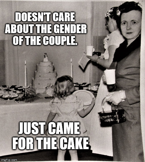 Judgemental Wedding Guest | DOESN'T CARE ABOUT THE GENDER OF THE COUPLE. JUST CAME FOR THE CAKE | image tagged in judgemental wedding guest | made w/ Imgflip meme maker