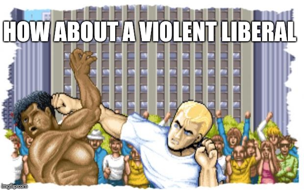 Street Fighter | HOW ABOUT A VIOLENT LIBERAL | image tagged in street fighter | made w/ Imgflip meme maker