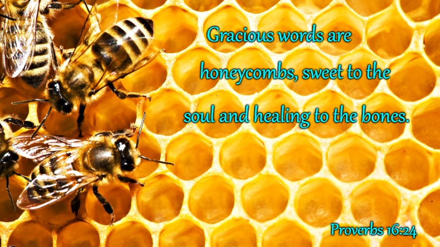 Proverbs 16:24 Be Gracious With Your Words And They Will Be Like Honeycombs To the Soul | Gracious words are; honeycombs, sweet to the; soul and healing to the bones. Proverbs 16:24 | image tagged in bible,holy bible,holy spirit,bible verse,verse,god | made w/ Imgflip meme maker