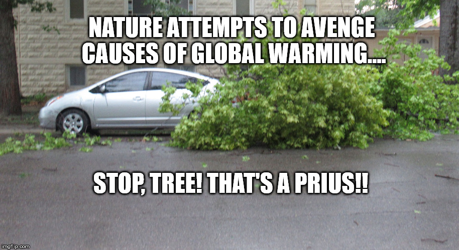 Tree getting its car(bs) | NATURE ATTEMPTS TO AVENGE CAUSES OF GLOBAL WARMING.... STOP, TREE! THAT'S A PRIUS!! | image tagged in tree getting its carbs | made w/ Imgflip meme maker