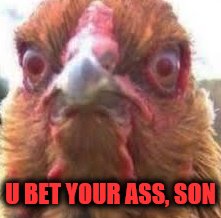 evil chicken eye | U BET YOUR ASS, SON | image tagged in evil chicken eye | made w/ Imgflip meme maker