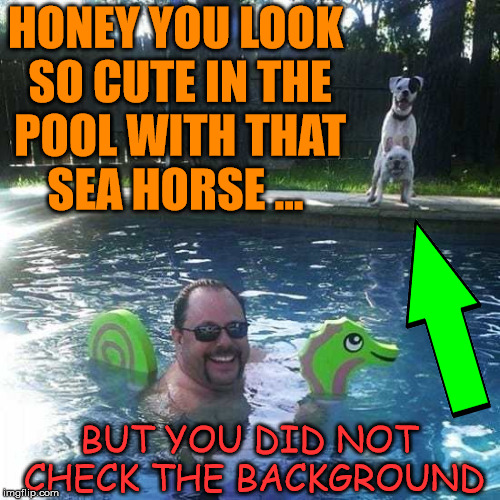 She grabs a camera to get a cute snap of you in the pool .... | HONEY YOU LOOK SO CUTE IN THE POOL WITH THAT SEA HORSE ... BUT YOU DID NOT CHECK THE BACKGROUND | image tagged in memes,pool,dogs,funny,funny meme | made w/ Imgflip meme maker