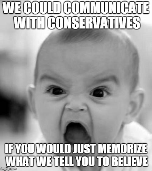 mad baby | WE COULD COMMUNICATE WITH CONSERVATIVES IF YOU WOULD JUST MEMORIZE WHAT WE TELL YOU TO BELIEVE | image tagged in mad baby | made w/ Imgflip meme maker
