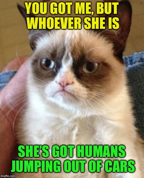 Grumpy Cat Meme | YOU GOT ME, BUT WHOEVER SHE IS SHE’S GOT HUMANS JUMPING OUT OF CARS | image tagged in memes,grumpy cat | made w/ Imgflip meme maker