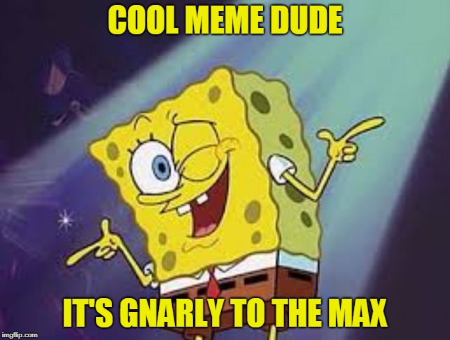 COOL MEME DUDE IT'S GNARLY TO THE MAX | made w/ Imgflip meme maker