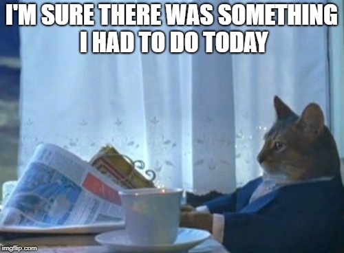 I Should Buy A Boat Cat Meme | I'M SURE THERE WAS SOMETHING I HAD TO DO TODAY | image tagged in memes,i should buy a boat cat | made w/ Imgflip meme maker