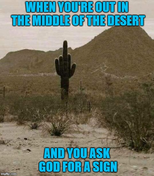 See? That cactus probably has water in it!!! |  WHEN YOU'RE OUT IN THE MIDDLE OF THE DESERT; AND YOU ASK GOD FOR A SIGN | image tagged in cactus finger,memes,cactus,god,funny,signs | made w/ Imgflip meme maker