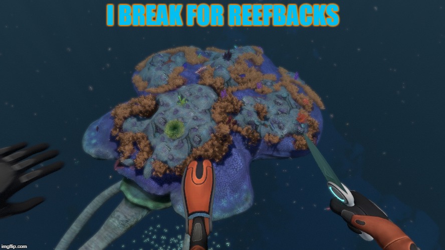 I Break for Reefbacks | I BREAK FOR REEFBACKS | image tagged in reefback,meme,subnautica,bumper sticker | made w/ Imgflip meme maker