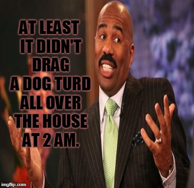 AT LEAST IT DIDN'T DRAG A DOG TURD ALL OVER THE HOUSE AT 2 AM. | made w/ Imgflip meme maker