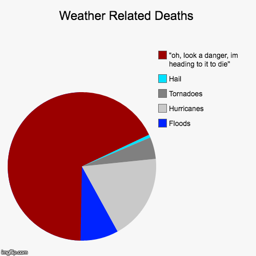Weather Related Deaths | Floods, Hurricanes, Tornadoes, Hail, "oh, look a danger, im heading to it to die" | image tagged in funny,pie charts | made w/ Imgflip chart maker