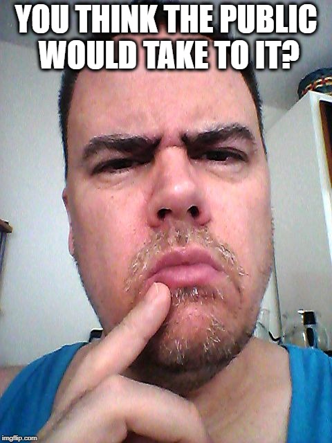 puzzled | YOU THINK THE PUBLIC WOULD TAKE TO IT? | image tagged in puzzled | made w/ Imgflip meme maker