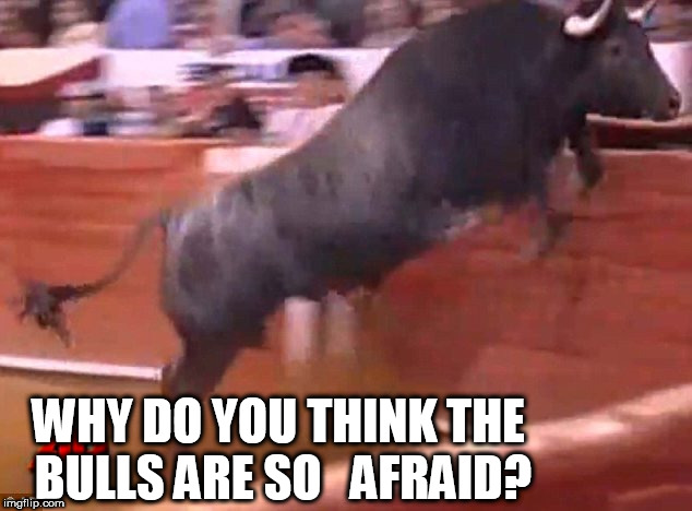 WHY DO YOU THINK THE BULLS ARE SO   AFRAID? | made w/ Imgflip meme maker