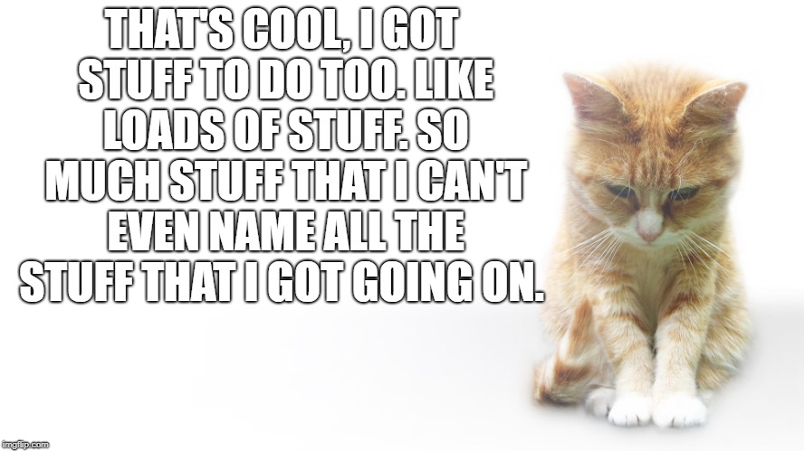 lonely sad cat | THAT'S COOL, I GOT STUFF TO DO TOO. LIKE LOADS OF STUFF. SO MUCH STUFF THAT I CAN'T EVEN NAME ALL THE STUFF THAT I GOT GOING ON. | image tagged in lonely sad cat | made w/ Imgflip meme maker