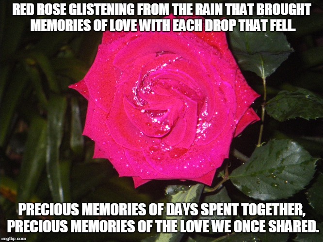 Red Rose Memories | RED ROSE GLISTENING FROM THE RAIN THAT BROUGHT MEMORIES OF LOVE WITH EACH DROP THAT FELL. PRECIOUS MEMORIES OF DAYS SPENT TOGETHER, PRECIOUS MEMORIES OF THE LOVE WE ONCE SHARED. | image tagged in memories,love,red roses | made w/ Imgflip meme maker