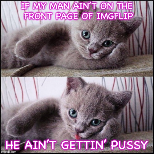 imgflip Sex Kitten | IF MY MAN AIN’T ON THE FRONT PAGE OF IMGFLIP; HE AIN’T GETTIN’ PUSSY | image tagged in cats,pussy,sexy,funny memes,memes,imgflip | made w/ Imgflip meme maker