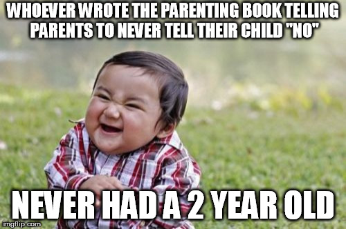 Evil Toddler Meme | WHOEVER WROTE THE PARENTING BOOK TELLING PARENTS TO NEVER TELL THEIR CHILD "NO"; NEVER HAD A 2 YEAR OLD | image tagged in memes,evil toddler | made w/ Imgflip meme maker