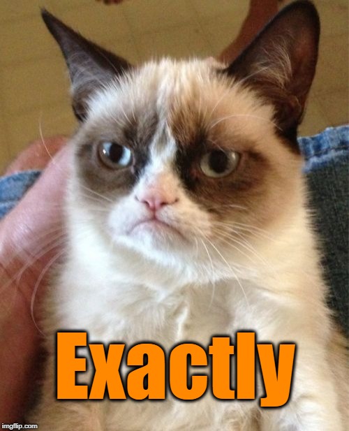 Grumpy Cat Meme | Exactly | image tagged in memes,grumpy cat | made w/ Imgflip meme maker