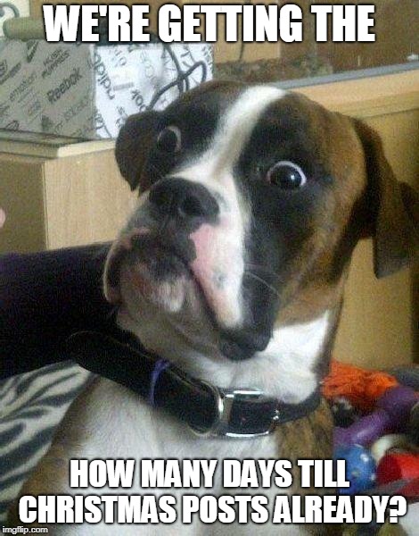 Surprised Dog | WE'RE GETTING THE HOW MANY DAYS TILL CHRISTMAS POSTS ALREADY? | image tagged in surprised dog | made w/ Imgflip meme maker