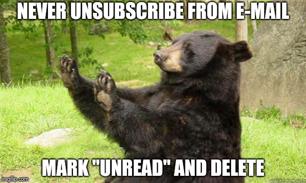 How about no bear | NEVER UNSUBSCRIBE FROM E-MAIL MARK "UNREAD" AND DELETE | image tagged in how about no bear | made w/ Imgflip meme maker