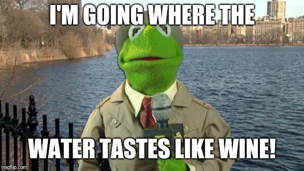 Kermit News Report | I'M GOING WHERE THE; WATER TASTES LIKE WINE! | image tagged in kermit news report,memes | made w/ Imgflip meme maker