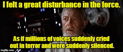 I felt a great disturbance in the force. As if millions of voices suddenly cried out in terror and were suddenly silenced. | made w/ Imgflip meme maker