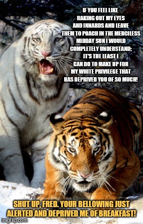 Shut up already, Fred | IF YOU FEEL LIKE RAKING OUT MY EYES AND INNARDS AND LEAVE THEM TO POACH IN THE MERCILESS MIDDAY SUN I WOULD COMPLETELY UNDERSTAND; IT'S THE LEAST I CAN DO TO MAKE UP FOR MY WHITE PRIVILEGE THAT HAS DEPRIVED YOU OF SO MUCH! SHUT UP, FRED. YOUR BELLOWING JUST ALERTED AND DEPRIVED ME OF BREAKFAST! | image tagged in shut up already fred | made w/ Imgflip meme maker