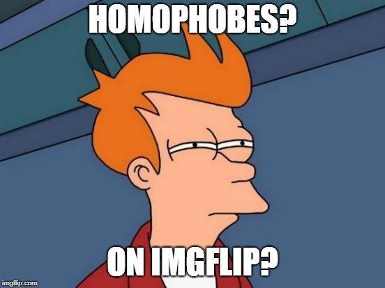 Futurama Fry Meme | HOMOPHOBES? ON IMGFLIP? | image tagged in memes,futurama fry | made w/ Imgflip meme maker