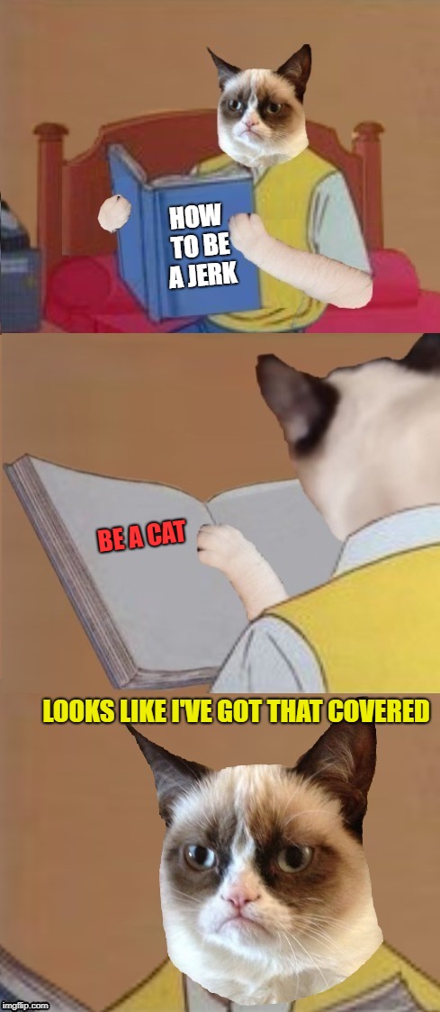 Cover all the bases | HOW TO BE A JERK; BE A CAT; LOOKS LIKE I'VE GOT THAT COVERED | image tagged in funny memes,grumpy cat,book of idiots,caturday,cat | made w/ Imgflip meme maker