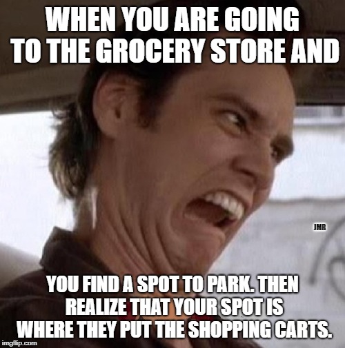 Oh the agony | WHEN YOU ARE GOING TO THE GROCERY STORE AND; JMR; YOU FIND A SPOT TO PARK. THEN REALIZE THAT YOUR SPOT IS WHERE THEY PUT THE SHOPPING CARTS. | image tagged in jim carrey,ace ventura,shopping | made w/ Imgflip meme maker