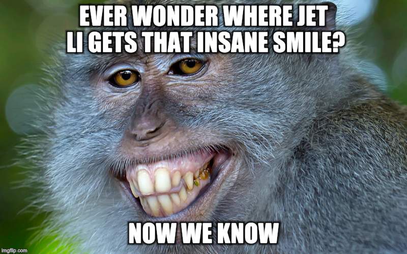 funny animals | EVER WONDER WHERE JET LI GETS THAT INSANE SMILE? NOW WE KNOW | image tagged in funny animals | made w/ Imgflip meme maker