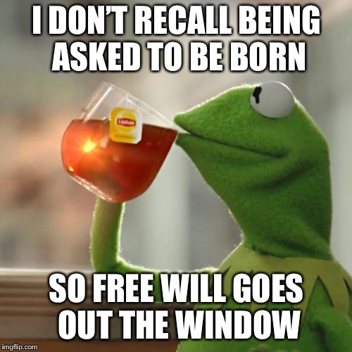 But That's None Of My Business Meme | I DON’T RECALL BEING ASKED TO BE BORN SO FREE WILL GOES OUT THE WINDOW | image tagged in memes,but thats none of my business,kermit the frog | made w/ Imgflip meme maker