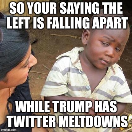 Third World Skeptical Kid Meme | SO YOUR SAYING THE LEFT IS FALLING APART WHILE TRUMP HAS TWITTER MELTDOWNS | image tagged in memes,third world skeptical kid | made w/ Imgflip meme maker
