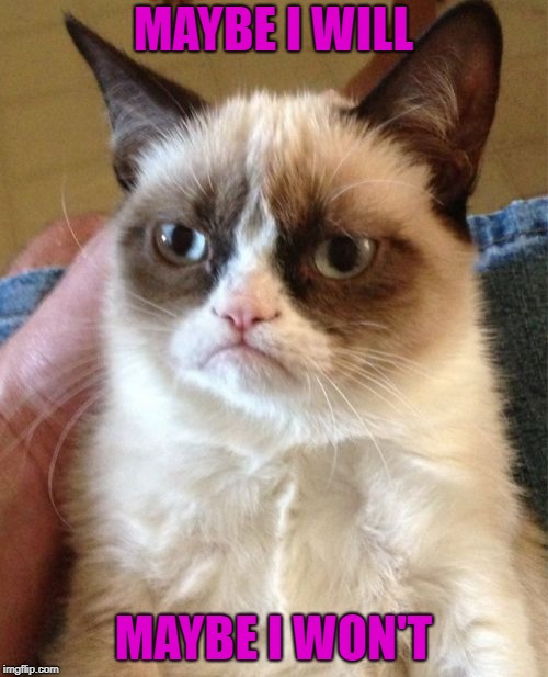 Grumpy Cat Meme | MAYBE I WILL MAYBE I WON'T | image tagged in memes,grumpy cat | made w/ Imgflip meme maker