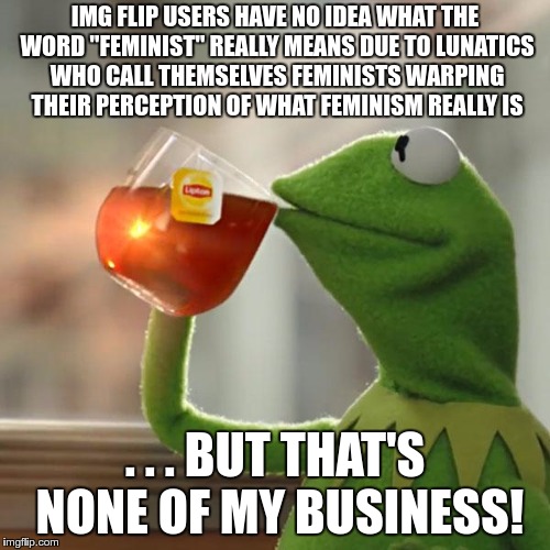But That's None Of My Business Meme | IMG FLIP USERS HAVE NO IDEA WHAT THE WORD "FEMINIST" REALLY MEANS DUE TO LUNATICS WHO CALL THEMSELVES FEMINISTS WARPING THEIR PERCEPTION OF WHAT FEMINISM REALLY IS; . . . BUT THAT'S NONE OF MY BUSINESS! | image tagged in memes,but thats none of my business,kermit the frog | made w/ Imgflip meme maker