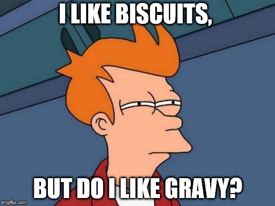 Futurama Fry | I LIKE BISCUITS, BUT DO I LIKE GRAVY? | image tagged in memes,futurama fry | made w/ Imgflip meme maker
