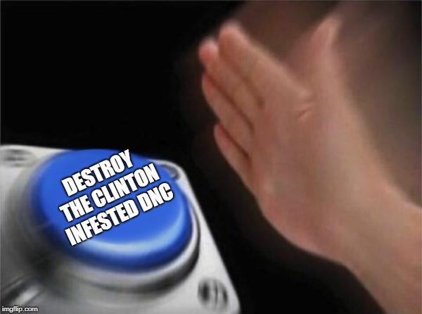 Blank Nut Button Meme | DESTROY THE CLINTON INFESTED DNC | image tagged in memes,blank nut button | made w/ Imgflip meme maker