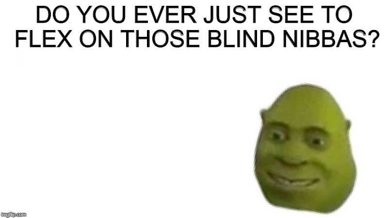Shrek flex | DO YOU EVER JUST SEE TO FLEX ON THOSE BLIND NIBBAS? | image tagged in shrek flex | made w/ Imgflip meme maker