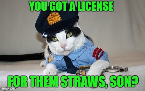 YOU GOT A LICENSE FOR THEM STRAWS, SON? | made w/ Imgflip meme maker