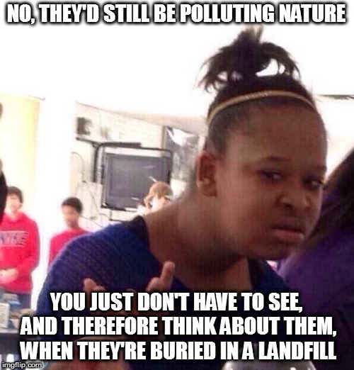 Black Girl Wat Meme | NO, THEY'D STILL BE POLLUTING NATURE YOU JUST DON'T HAVE TO SEE, AND THEREFORE THINK ABOUT THEM, WHEN THEY'RE BURIED IN A LANDFILL | image tagged in memes,black girl wat | made w/ Imgflip meme maker