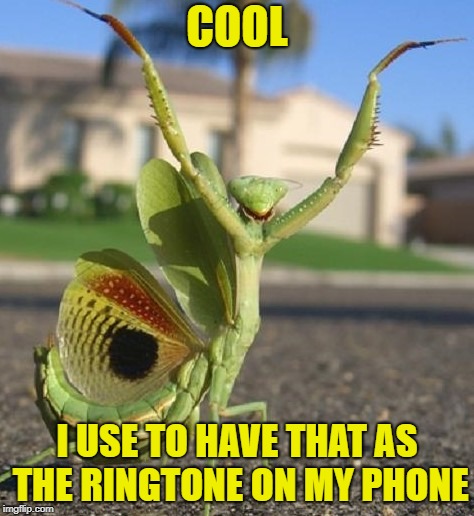 COOL I USE TO HAVE THAT AS THE RINGTONE ON MY PHONE | made w/ Imgflip meme maker