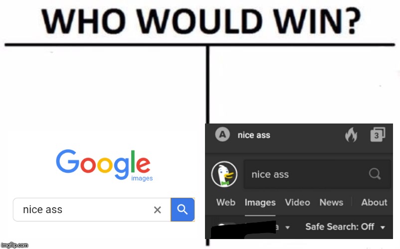 Image -vs- Image | image tagged in memes,who would win,internet,search,google images,duck | made w/ Imgflip meme maker