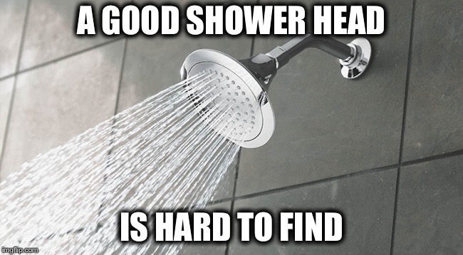 Shower Thoughts | A GOOD SHOWER HEAD IS HARD TO FIND | image tagged in shower thoughts | made w/ Imgflip meme maker