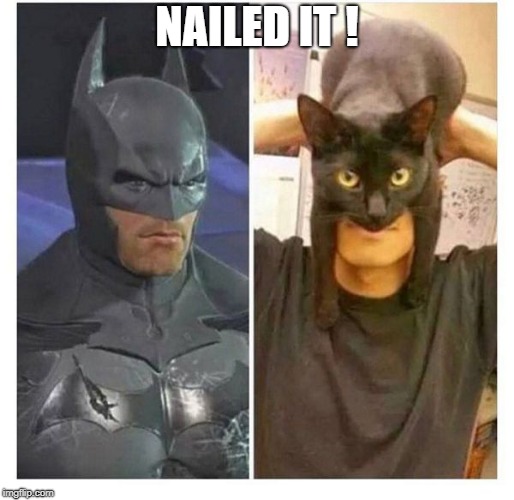 Nailed it | NAILED IT ! | image tagged in batman,memes,cats | made w/ Imgflip meme maker