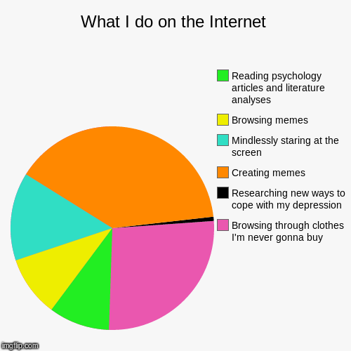 What I do on the Internet | Browsing through clothes I'm never gonna buy, Researching new ways to cope with my depression, Creating memes, M | image tagged in funny,pie charts,depression,sleep deprivation creations | made w/ Imgflip chart maker