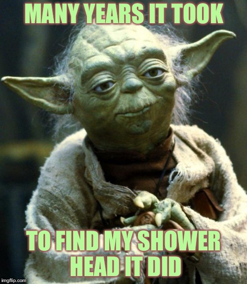 Star Wars Yoda Meme | MANY YEARS IT TOOK TO FIND MY SHOWER HEAD IT DID | image tagged in memes,star wars yoda | made w/ Imgflip meme maker